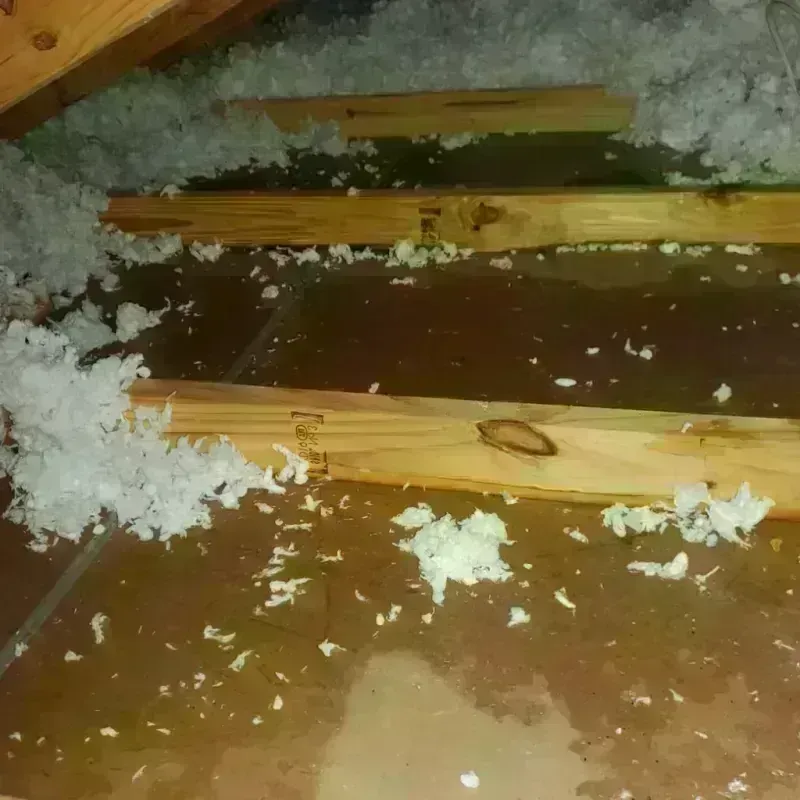 Attic Water Damage in Placerville, CA