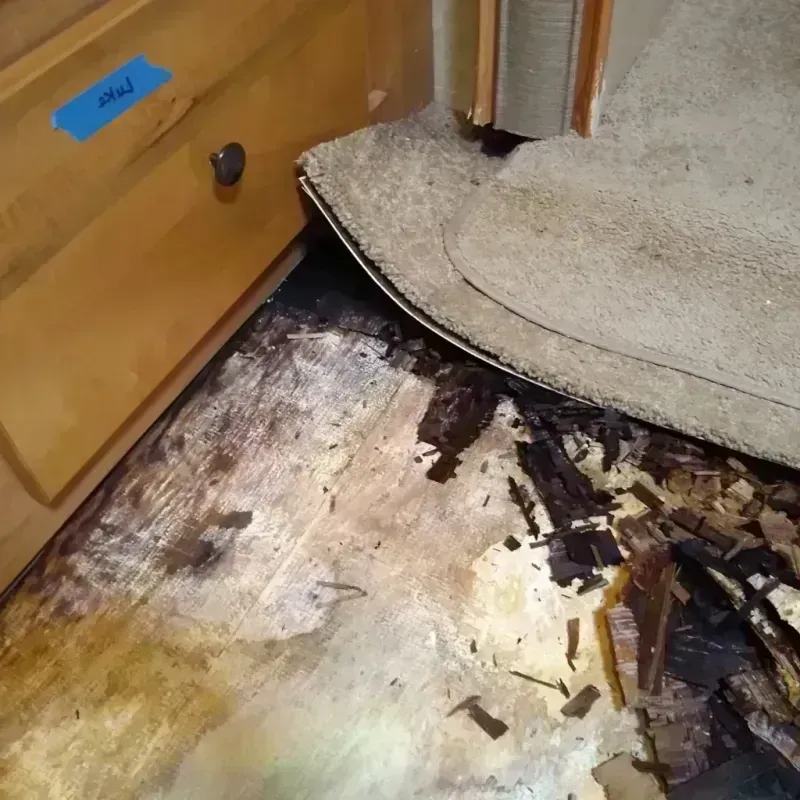 Wood Floor Water Damage in Placerville, CA